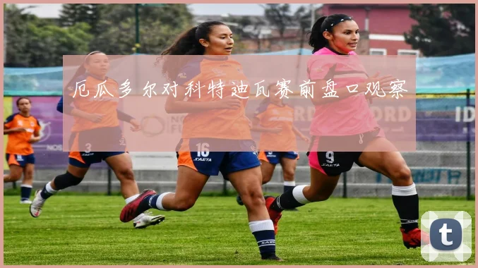 厄瓜多尔对科特迪瓦赛前盘口观察