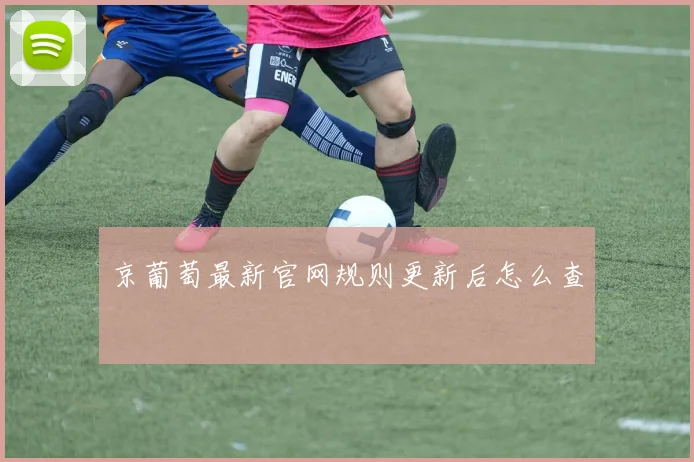 京葡萄最新官网规则更新后怎么查