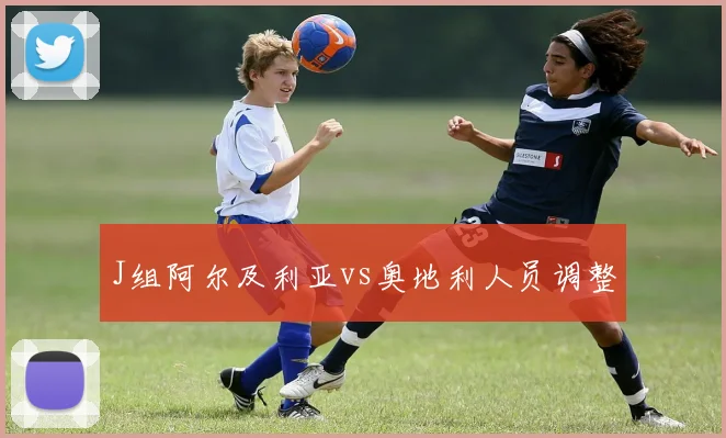 J组阿尔及利亚vs奥地利人员调整
