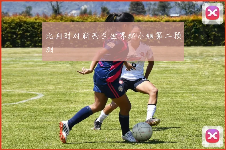 比利时对新西兰世界杯小组第二预测