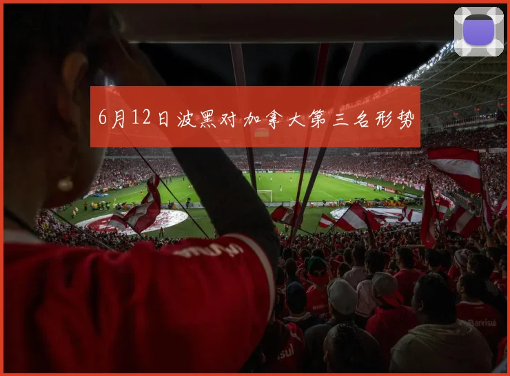 6月12日波黑对加拿大第三名形势