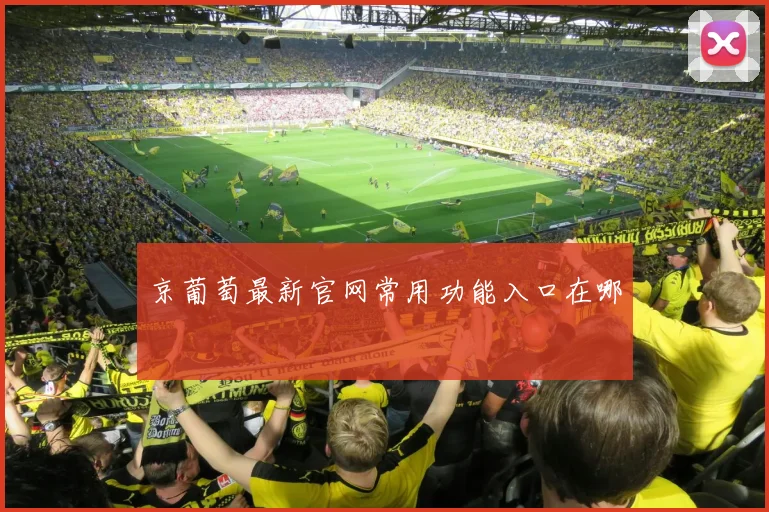 京葡萄最新官网常用功能入口在哪