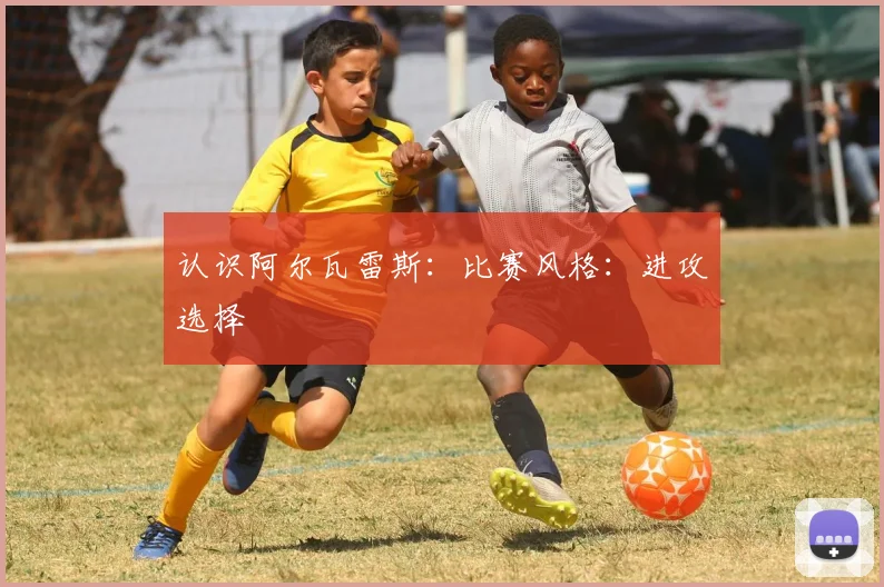认识阿尔瓦雷斯：比赛风格：进攻选择