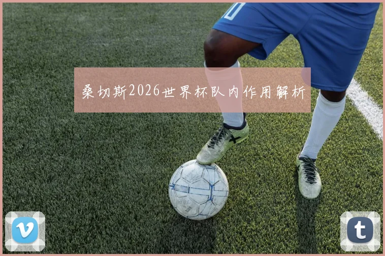桑切斯2026世界杯队内作用解析
