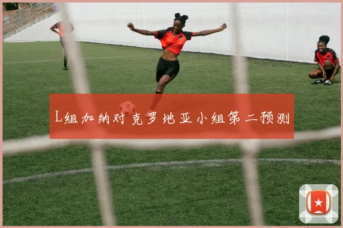 L组加纳对克罗地亚小组第二预测