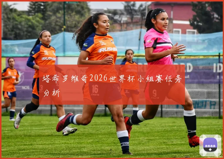 塔希罗维奇2026世界杯小组赛任务分析