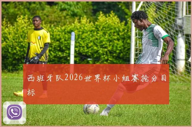西班牙队2026世界杯小组赛抢分目标